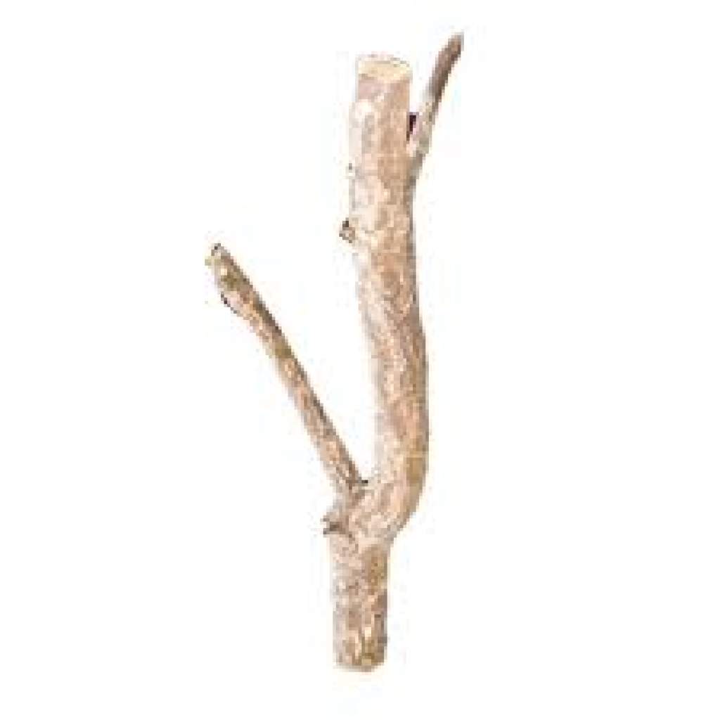 HabiStat-Zweigstelle Cork